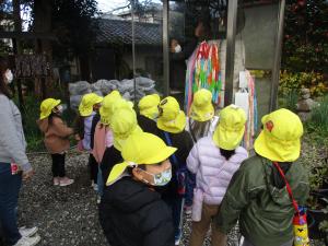 5歳5