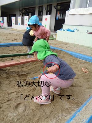 どんぐり