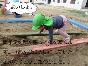 どんぐり