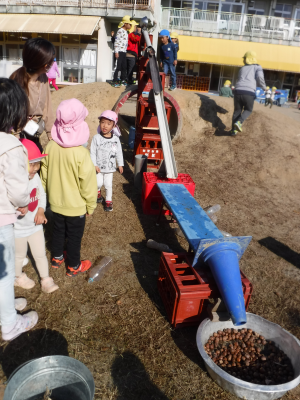 5歳児がトイを組立てて築山からドングリ転がしをしています。