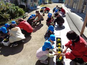 4歳児の子ども達が東市女性防災クラブの皆さんと一緒に花の苗を植えています。