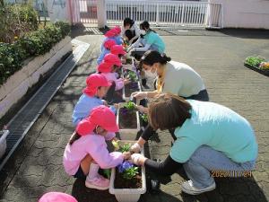 花植え