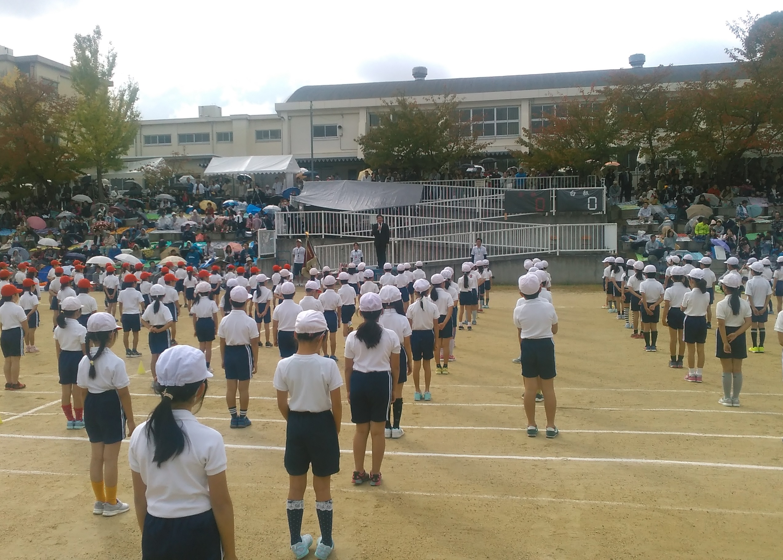 運動会の見学の画像