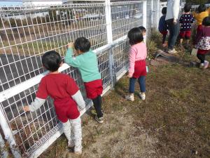 3歳児園庭にいます