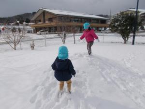 雪の上を走っています。