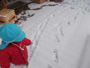 雪の上に足跡をつけて遊んでいます。