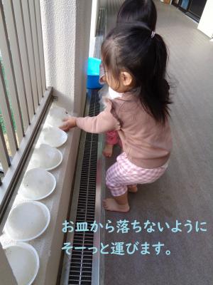 雪