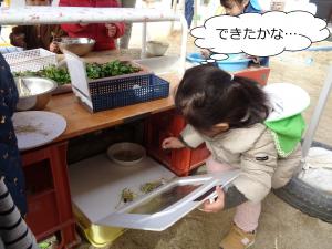 おびとけはうす