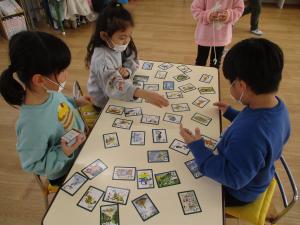 5歳4