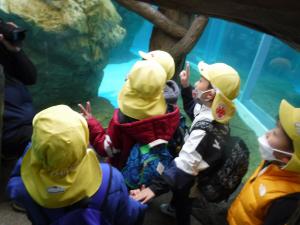 京都水族館②