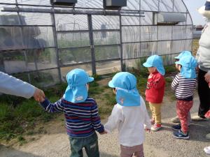 2歳児　散歩