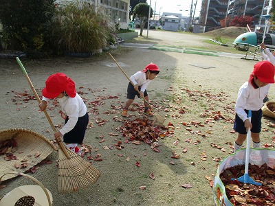 葉っぱ集め