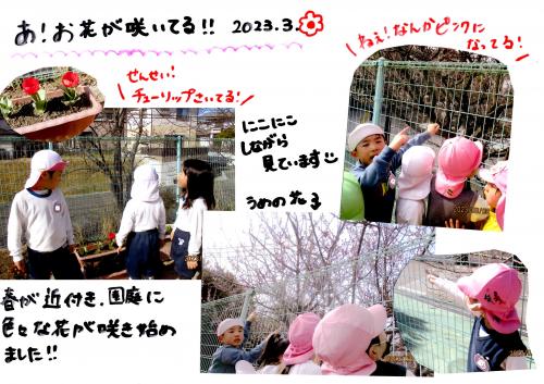 おはな