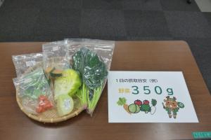 1日の野菜摂取目安量350g見本