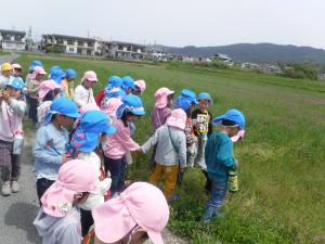 4歳児春見つけ散歩