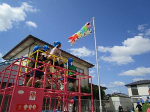 こいのぼりを見ている５歳児