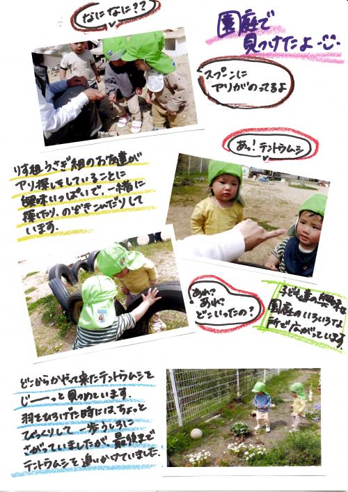1歳児5月様子 虫探し