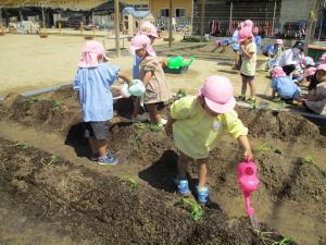 4歳児みずやり