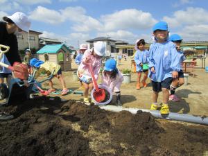 4、5歳児土運び