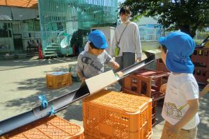 転がし遊び5歳