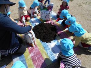 先生と一緒に土を入れている3歳児