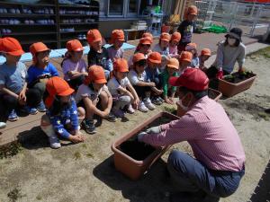 野菜の先生に苗の植え方を教えてもらっている5歳児