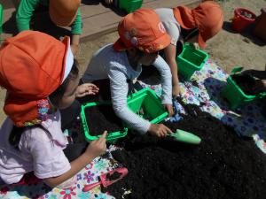 植木鉢に土を入れる5歳児