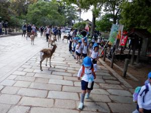 鹿のそばを歩く子ども達