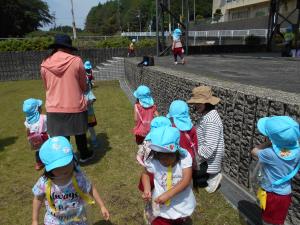 3歳児が広場で草花をいっぱい集めています