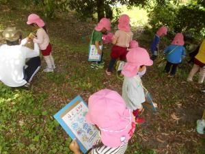 草花を探している子ども達