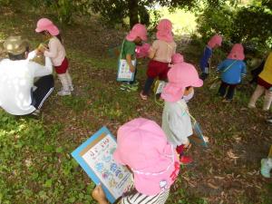 草花を探している子ども達