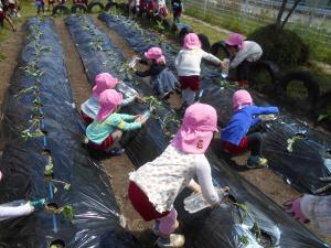 水やりをする４歳児