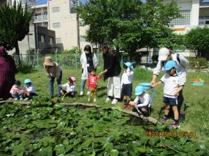 5月　保育参観　自由遊びの様子