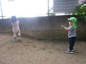 雨が降っている