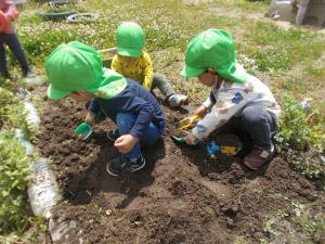 2歳児が土を掘っています