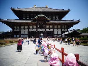 4，5歳児で奈良公園へ遠足に行きました。東大寺の大きさに驚いていました。