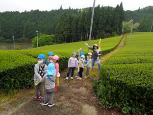 茶山2
