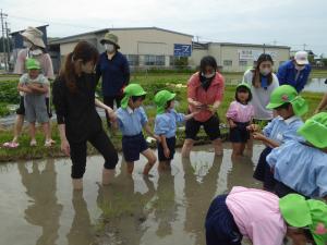 田植え