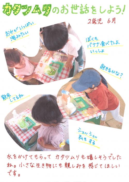 カタツムリのお世話をしよう!