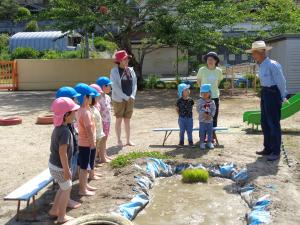 田植え①