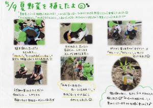 野菜