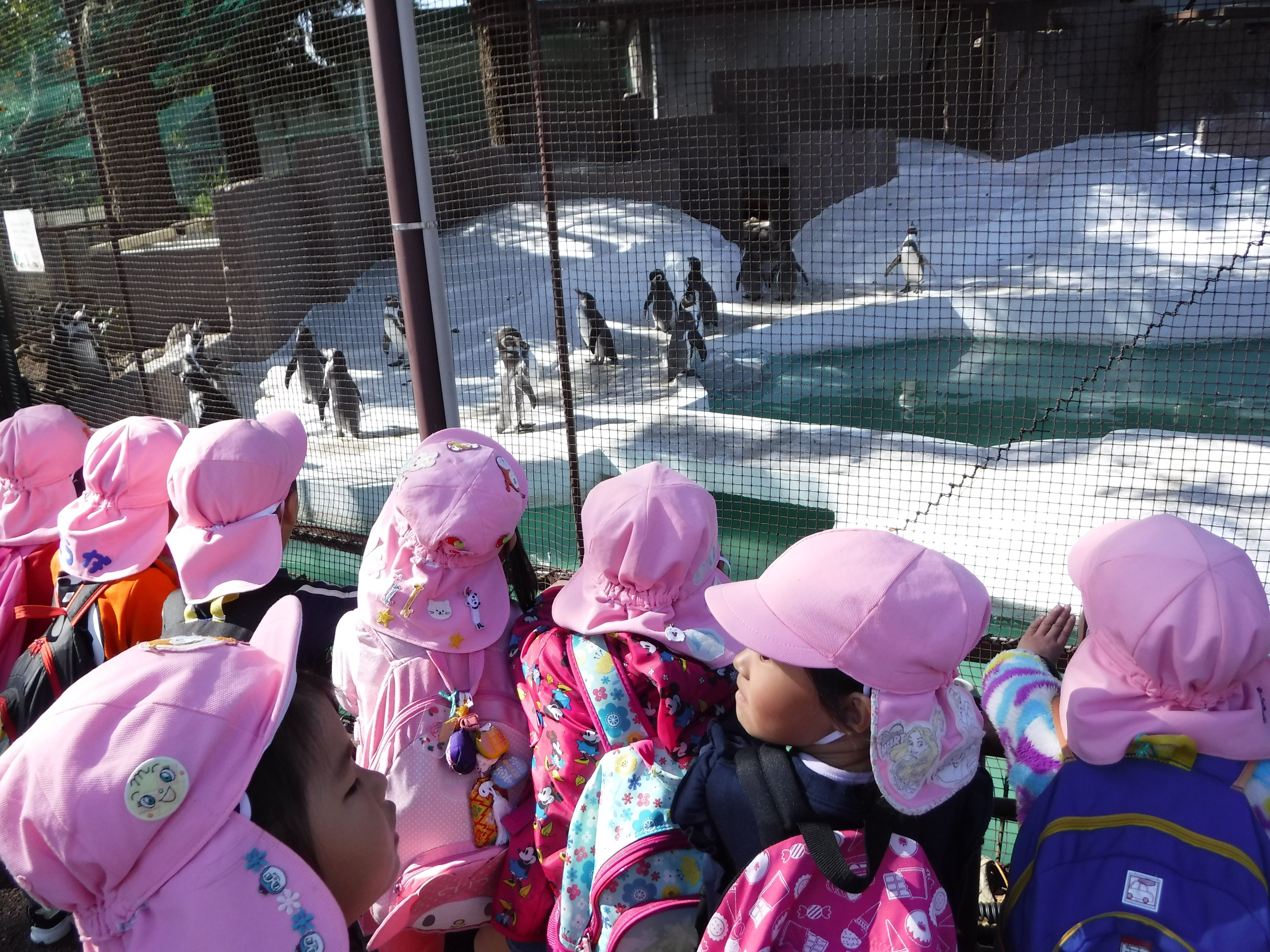 【遠足】天王寺動物園／3・4・5歳児の画像1