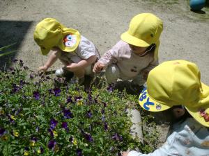 1歳児　草花に触れて遊ぶ