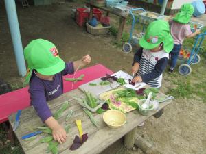 2歳児　草花でお料理