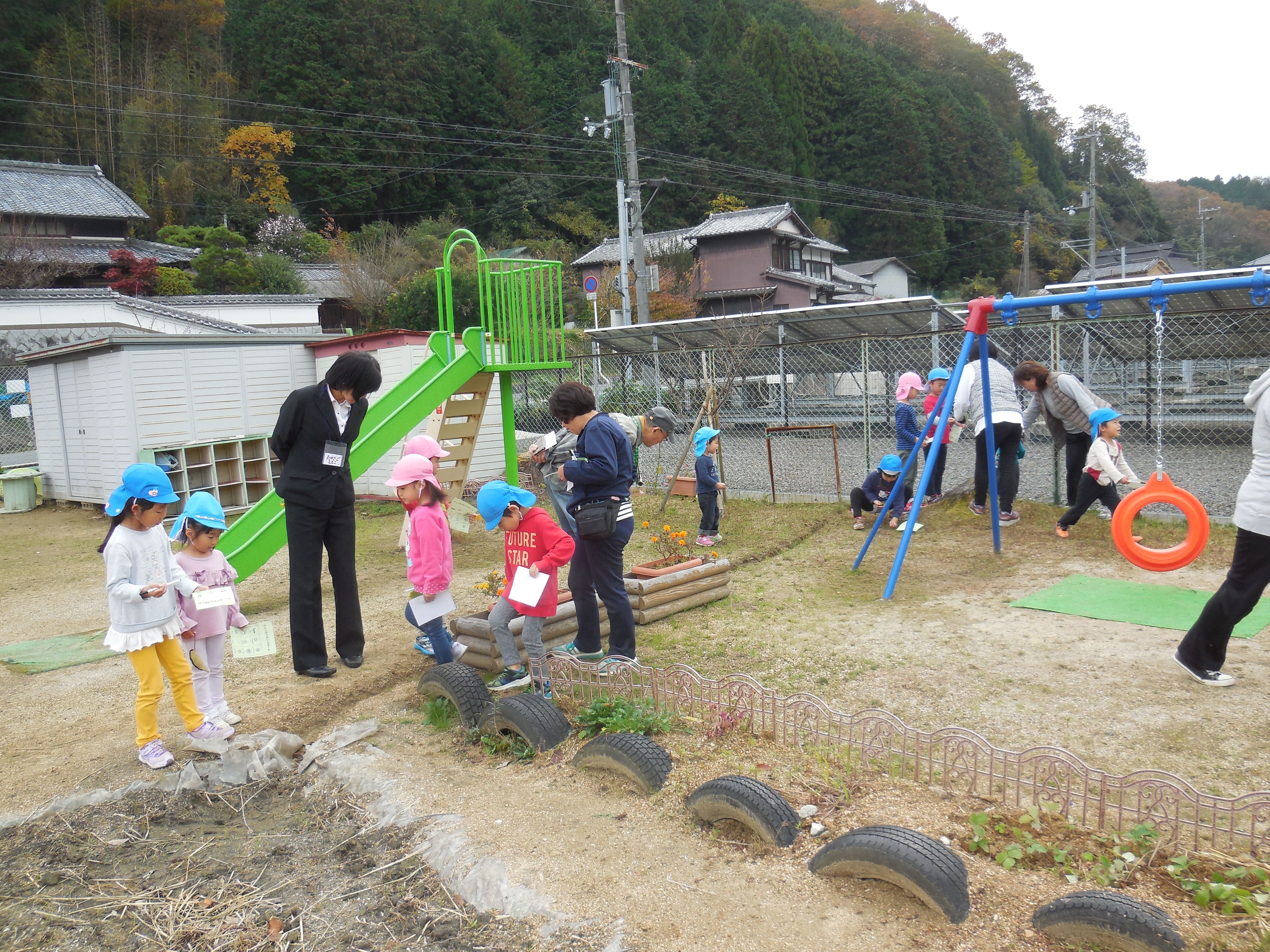 11月13日の画像2