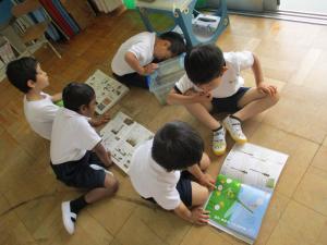 虫の図鑑で研究中