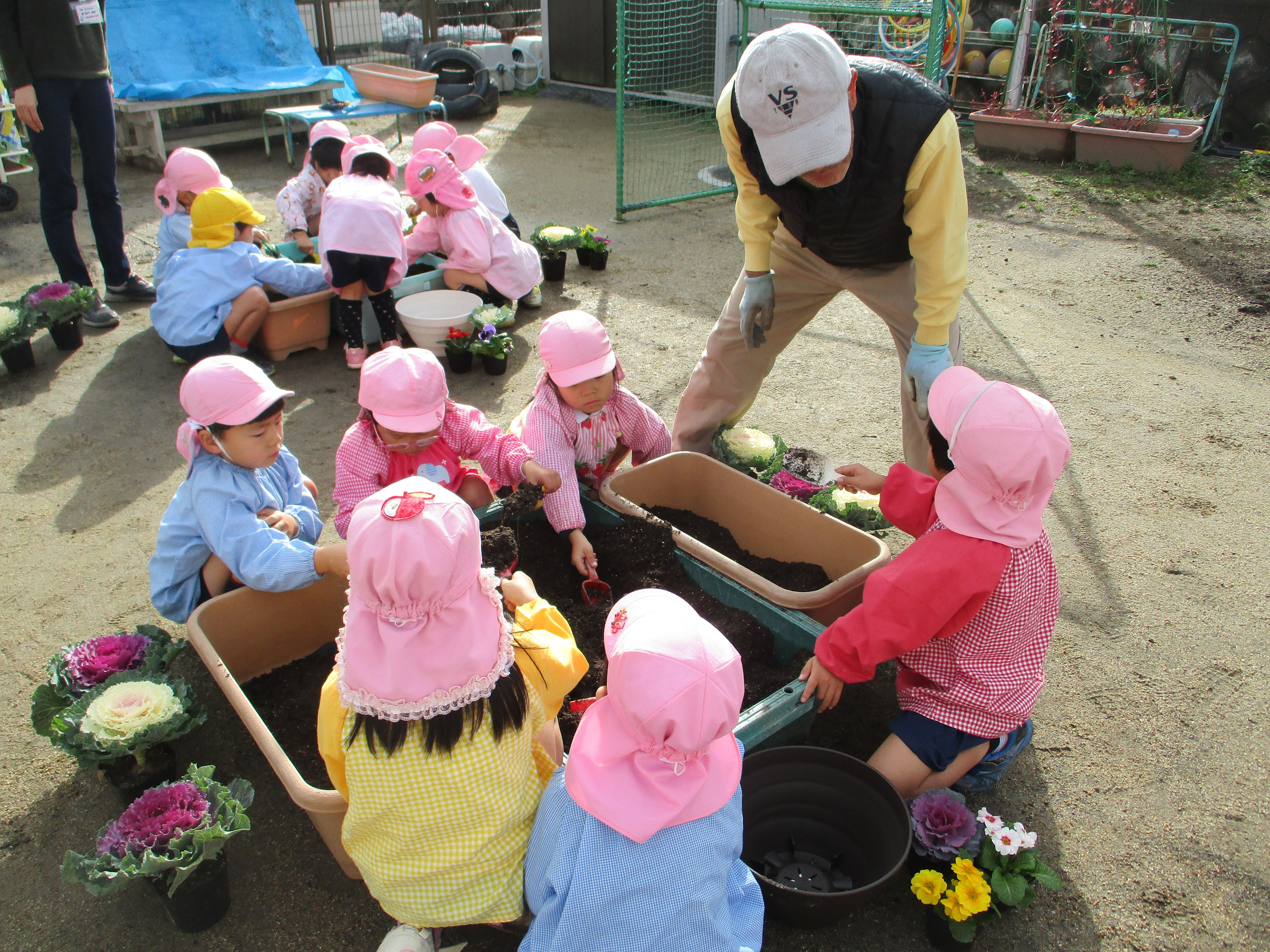 地域の方と一緒に花を植えたよ＜4歳児＞の画像2