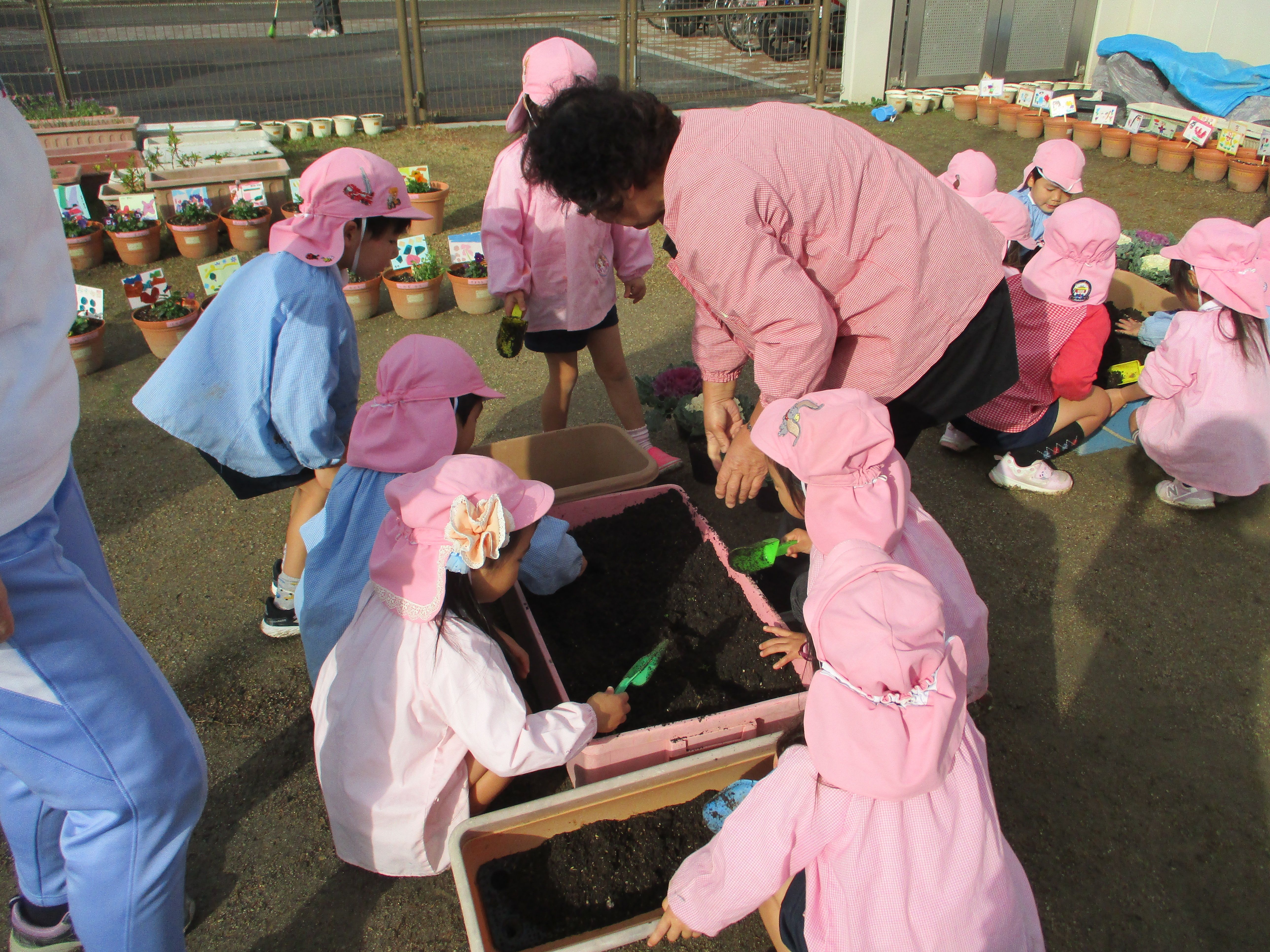 地域の方と一緒に花を植えたよ＜4歳児＞の画像3