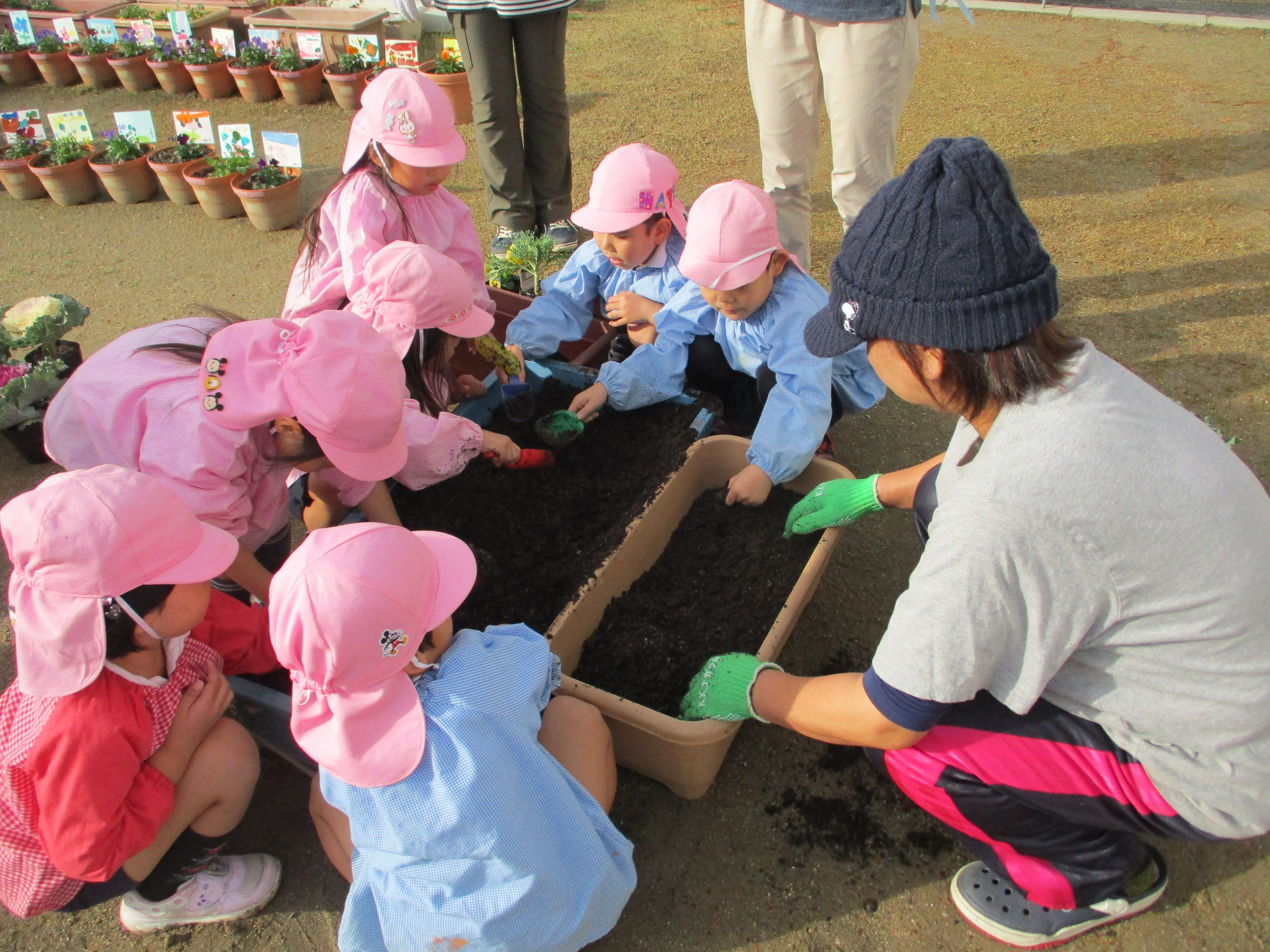地域の方と一緒に花を植えたよ＜4歳児＞の画像4