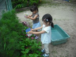 お花に水をかけているところ